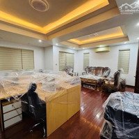 Bán Biệt Thự Vip Khu Đô Thị Mới Yên Hòa, Trần Kim Xuyến Vị Trí Siêu Đắc Địa 155M2, 4 Tầng,Mặt Tiền10M