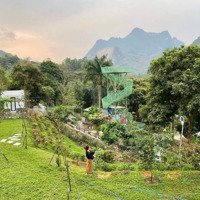 Cần Chuyển Nhượng Khu Retreat Nghỉ Dưỡng Trong Lòng Tp Hoà Bình, 10,527M2, 14,5 Tỷ