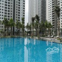 Hàng Hot! Cho Thuê Căn Hộ 75M2 Tại Saigon South Residences Chỉ 14 Triệu