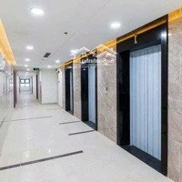 Cho Thuê 2 Phòng Ngủ 2 Vệ Sinhlovera Vista Nhận Nhà Ở Ngay Giá Chỉ 6 Triệu/Th