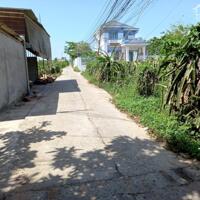 Bán nhanh giá tuột Huyết Áp-Đất MT đường Cây Me-Phong Nẫm-Phan Thiết-1.950m2CLN+1.200m2TC