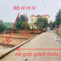 Bán Đất Trục Chính Xuân Đồng,Tân Minh Đường Ô Tô Tránh Sát Dự Án Trường Đua Ngựa