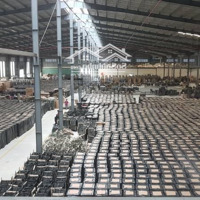 Cho Thuê Nhà Xưởng 22.000 M2 - 10.000 - 5000 M2 Trong Kcn Tỉnh Bến Tre