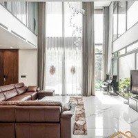 Bán Gấp Biệt Thự Hẻm Vip 8M Tân Sơn Nhì, Dtsd 750M2, 3 Tấm, Giá Chỉ 38 Tỷ Tl