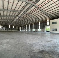 Cho Thuê Kho Xưởng 10.000 M2 Mặt Tiền Quốc Lộ 1A, Long Hồ, Vĩnh Long