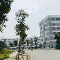 Bán Gấp Chung Cư 2 Phòng Ngủ Tòa 1B Đủ Công Năng Khu Nhà Ở Hưng Thịnh, Kiến Hưng, Hà Đông