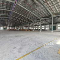 Cho Thuê Xưởng 21500M2 Trong Kcn Tân Đô - Tân Đức Hải Sơn Mới 100%