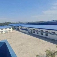 Cho Thuê Xưởng 21500M2 Trong Kcn Tân Đô - Tân Đức Hải Sơn Mới 100%