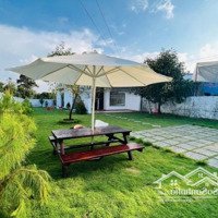 ( Chính Chủ ) Bán Gấp Nhà Riêng Đường Trần Phú, Chỉ 3 Tỉ 490 , 322M2 , Full Nội Thất