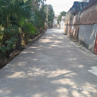 Thôn 2 - Hạ Bằng, 291M2 Full Thổ, Nở Hậu, Sẵn Nhà, Ngõ Ô Tô