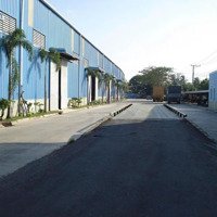 Cho Thuê Kho 5000M2, 7000 M2 Cụm Công Nghiệp Song Thuận, Châu Thành, Tiền Giang