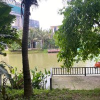 Chuyển Nhượng Lại Căn Song Lập 300M2 Biệt Thự Đảo Ecopark, Hồ Đn Cửa Tb