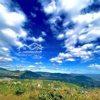 Đất Ngay Trung Tâm - Thị Trấn Nam Ban - Lâm Hà - Giá Tốt - Shr - View Đồi Thông, Suối Siêu Đẹp