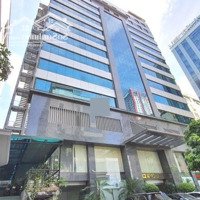 Cho Thuê Văn Phòng Tòa Nhà Hoàng Linh (Hl) 260M2- 300M2 Khu Vực Duy Tân, Cầu Giấy