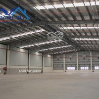 Cho Thuê Xưởng 5000M2 Khu Công Nghiệp Bà Rịa - Vũng Tàu Giá 3,5Usd.