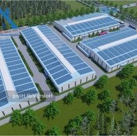 Cho Thuê Xưởng 5000M2 Khu Công Nghiệp Bà Rịa - Vũng Tàu Giá 3,5Usd.