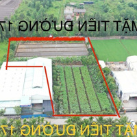 3900M2 Đất Full Thổ Cư Đường Container, Xã Bình Mỹ Thích Hợp Làm Trang Trại Nhà Vườn Nghỉ Dưỡng