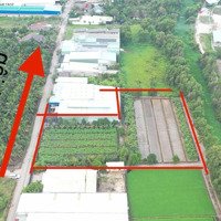 3900M2 Đất Full Thổ Cư Đường Container, Xã Bình Mỹ Thích Hợp Làm Trang Trại Nhà Vườn Nghỉ Dưỡng