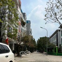 Bán Gấp Đất Phân Lô Khu Đấu Giá Ngõ Cổng, Phường Kiến Hưng, Diện Tích: 50M2, Mt4M Bao Đẹp, Giảm Chào ~500 Tr