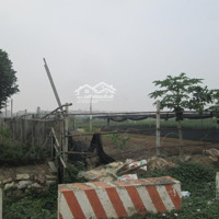 Cực Hiếm! Lô Góc Đất Đấu Giá Lai Xá View Công Viên, Cạnh Đại Học Thành Đô 80M2 Chỉ 11.9 Tỷ