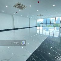 Quá Hiếm! Bán Nhà Phường Láng Hạ - Đống Đa - Hà Nội. 135M2 9 Tầng, Thông Sàn. Giá Cả Thương Lượng.