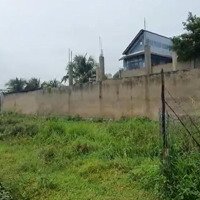Bán Rẻ Như Cho Đất Vườn Quy Hoạch Thổ Cư 1, 9 Triệu, Thổ Cư 16 Triệu/M2. 2 Mặt Tiền