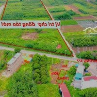 Hàng Hiếm! Siêu Phẩm Đấu Giá Đông Tảo Cách Mặt Đường Tl377,30M. Sát Vách Chợ Đầu Mối Đông Tảo Mới