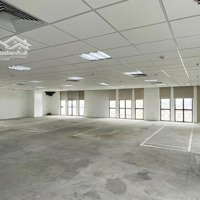 Cho Thuê Nhà Mặt Phố Tại Đường Nguyễn Khuyến, 130 Triệu Vnd, 100M2, Giá Cực Chất