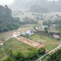 Hót Hót Chính Chủ Em Cần Chuyển Nhượng Khuôn Viễn Cơ Bản,
Diện Tích : 1400M2 - 500 Thổ Cư