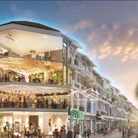 Không Mua Nhà Đất Phủ Lý Hà Nam, Đại Gia Cây Cảnh Quyết Định Mua Căn Liền Kề Tại Sun Urban City