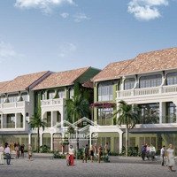 Không Mua Nhà Đất Phủ Lý Hà Nam, Đại Gia Cây Cảnh Quyết Định Mua Căn Liền Kề Tại Sun Urban City