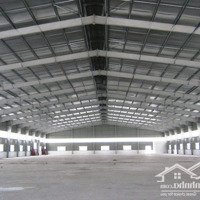 Bán Kho Khu Cn Quang Minh Mê Linh, Hà Nội.diện Tích6000M2. Hạ Tầng Pccc Đầy Đủ