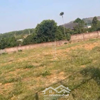 Cần Bán Nhanh 609M2 Phù Hợp Xây Nghỉ Dưỡng, Giá Chỉ Hơn 10 Triệu M2 Liên Hệ: 0981540179