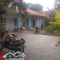 Mặt Tiền Nguyễn Văn Bá Xa Lộ Hà Nội 1433M2 Ngang 50M Full Thổ 290Tỷcó Thương Lượngngay Ga Metro