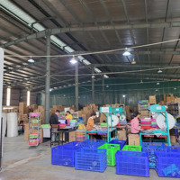 Cho Thuê 5.000 M2 Kho Xưởng Zamil Tiêu Chuẩn Trong Kcn Hà Bình Phương, Thường Tín