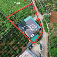 Bán Gấp Siêu Phẩm Duy Nhất Tại Ngô Thì Nhậm Di Linh, 1,5 Tỷ Vnd, 465 M2