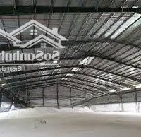 Cần Cho Thuê Gấp 700 M Kho Mặt Tiền Đường Đào Trí,P.phú Thuận,Q7.Giá Chỉ 130.000 Đ/M2