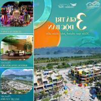 Bán biệt thự đẳng cấp thuộc dự án Flamingo Tam Chúc Hà Nam giá F0 LH: 0986809852