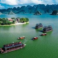 Bán biệt thự đẳng cấp thuộc dự án Flamingo Tam Chúc Hà Nam giá F0 LH: 0986809852