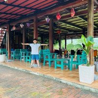 Chính Chủ Bán Homestay Ngay Cạnh Cổng Rừng Cúc Phương Nho Quan Ninh Bình, Dòng Tiền Mạnh