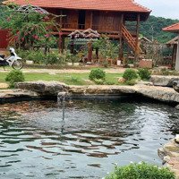 Chính Chủ Bán Homestay Ngay Cạnh Cổng Rừng Cúc Phương Nho Quan Ninh Bình, Dòng Tiền Mạnh