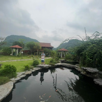 Chính Chủ Bán Homestay Ngay Cạnh Cổng Rừng Cúc Phương Nho Quan Ninh Bình, Dòng Tiền Mạnh