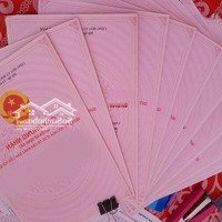 Booking Sớm Lấy Căn Góc Sang Xịn Mịn Đẹp Tòa B Giá Ưu Đãi Ban Đầu