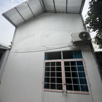 Ra Mắt Ngay Nhà Đẹp Tại Đường Phượng Bãi, Giá Siêu Hời, Gần Ngay Trục Đường Chínhdiện Tíchrộng