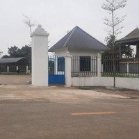 Lô Đất 5.254M2 Với Giá Chỉ 5 Triệu/M2, Đã Có Nhà Xưởng 600M2 Cao 12M, Điện 3 Pha, Sổ Đỏ Chính Chủ.