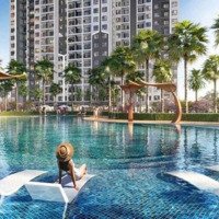 Mở Bán Chung Cư The Paris Ocean Park Giá Chỉ Từ 56 Triệu/M2, Chiết Khấu 12%,Đóng 50% Đến Khi Bàn Giao.