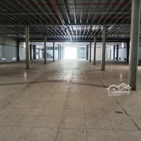 Cho Thuê Kho Xưởng 2.600M2 Tân An Hội Củ Chi