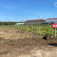 BÁN LÔ ĐẤT GIÁ RẺ GẦN QL13 NGAY TX BÌNH PHƯỚC, THỔ CƯ NGAY CHỢ