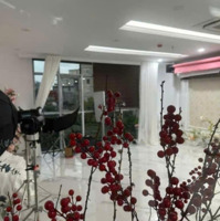 Bán Nhà Láng Hạ Phân Lô Bàn Cờ Ô Tô Tránh Mặt Tiền Rộng Lớn View Thông Thoáng Thuận Lợi Kd 29,8 Tỷ