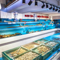 Cho Thuê Nhà Mặt Phố Nguyễn Thị Định Diện Tích: 65M2 X 5T Mt: 4,5M 2 45 Triệu/Tháng Kd Mọi Mô Hình, Vị Trí Đẹp